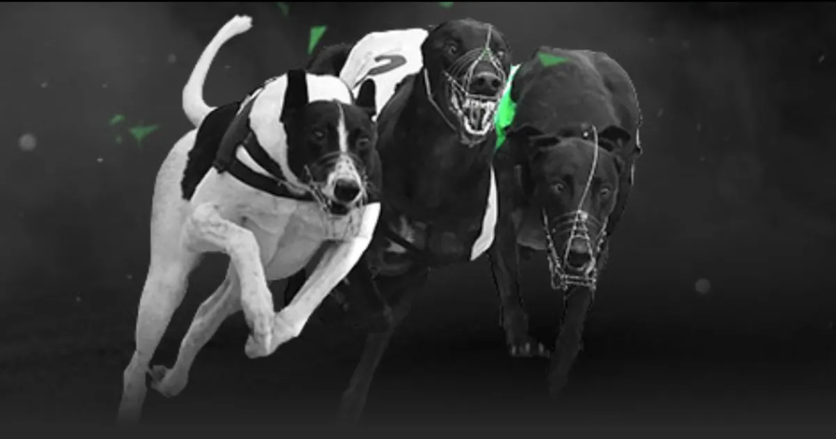 山东女排春,节假期不休,备战全运十,星空体育官网,星空体育App,星空体育直播,星空体育网页版,星空体育平台