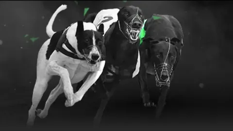 山东女排春节假期不休，备战全运十五运积极备战